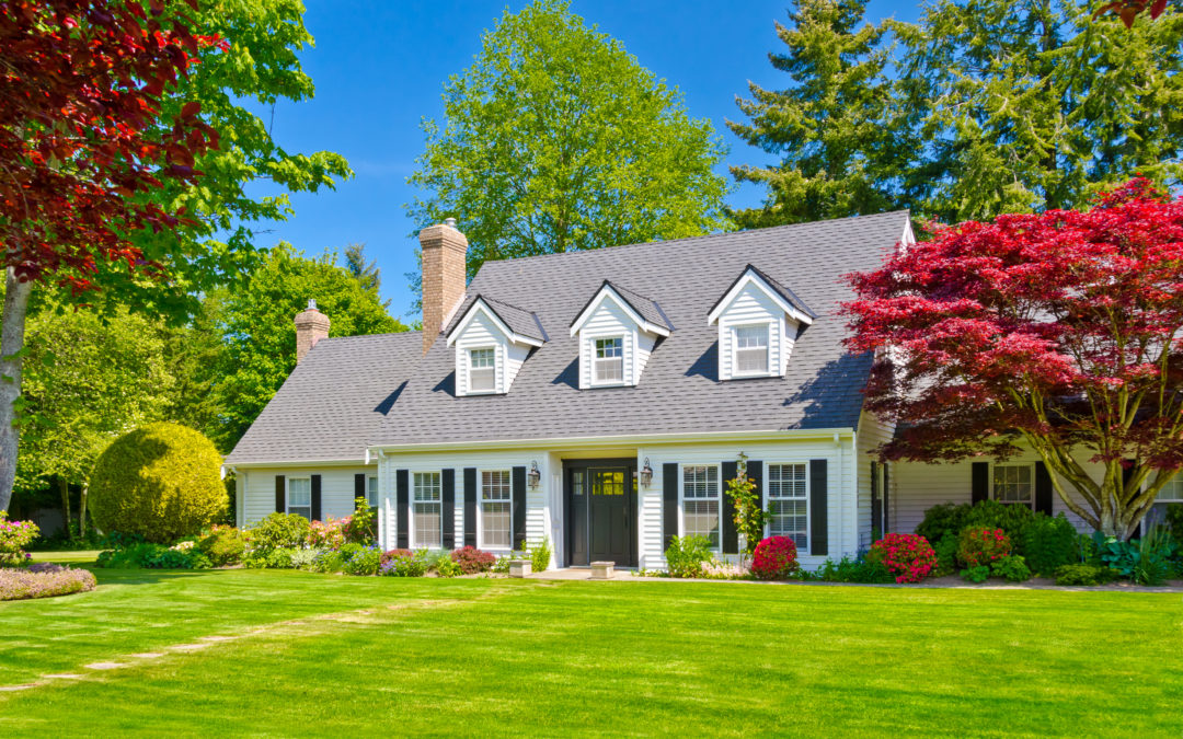 How to Save Energy With Landscaping