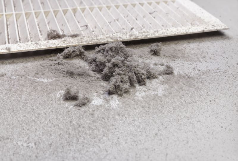 Dust Bunnies From Vent
