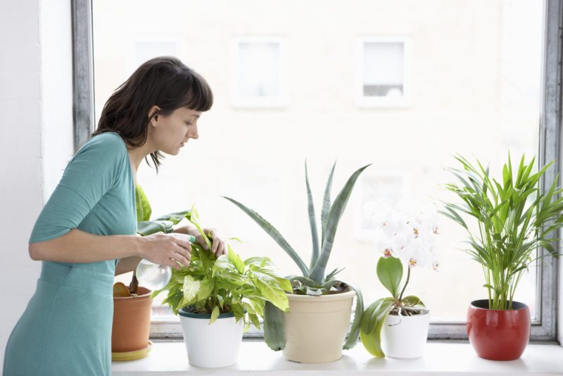 Improve IAQ With These Air Cleaners