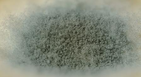 Mold Resized