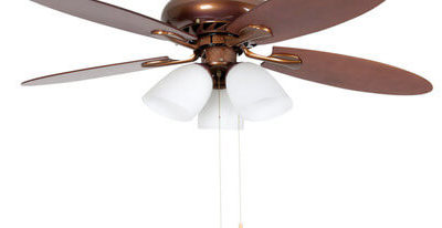 Ceiling Fans Keep You Cool and Improve Energy Efficiency