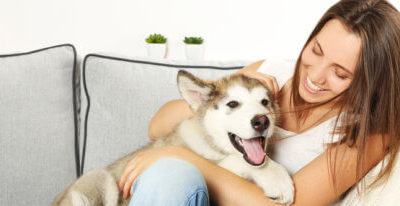 Pets and Indoor Air Quality