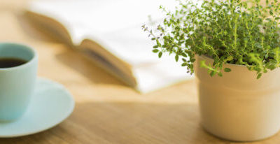 Best Plants to Have in Your Home for Good Indoor Air Quality